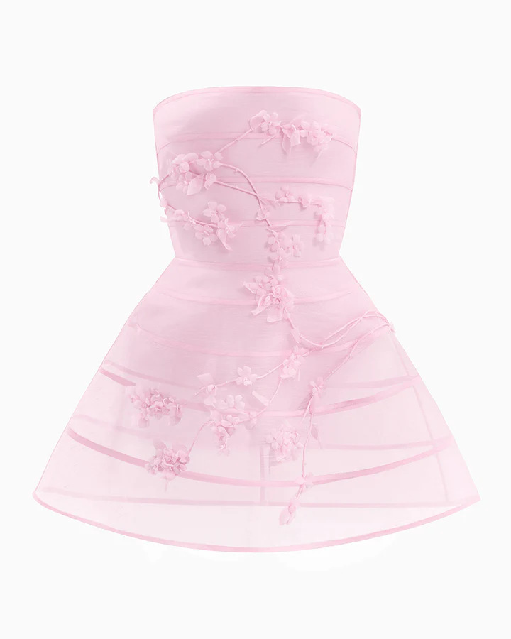 Amabel Strapless Sheer Mesh Waist-Fit A-Line Mini Dress