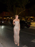 Evie Nude Gold Plunging Mesh Long Dress