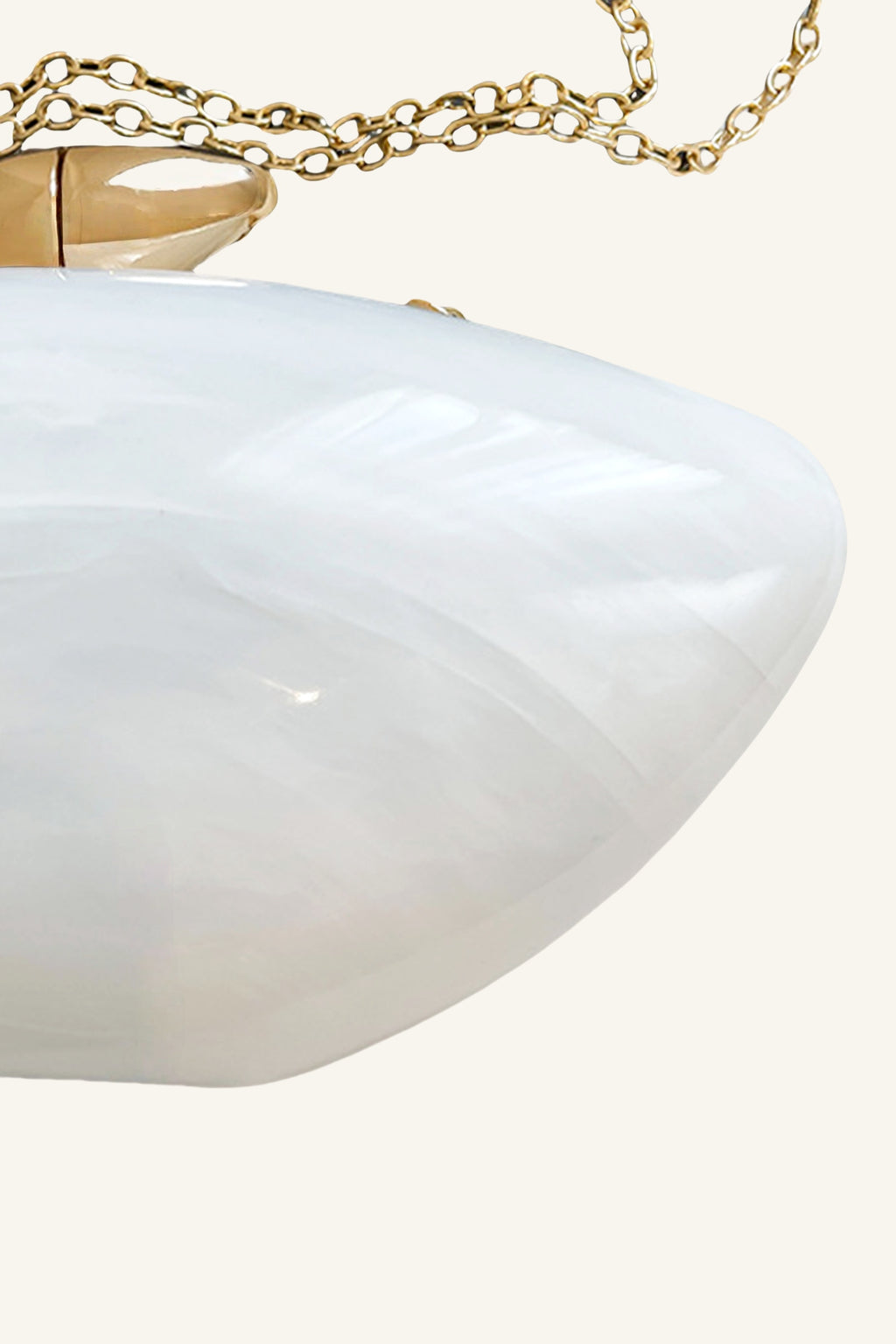 Oval Shaped Acrylic Clutch
